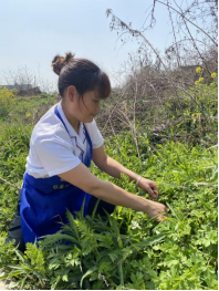 1619505110821487.png image.png