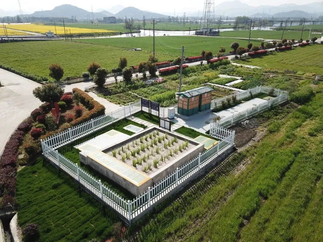 1679541627117550.jpg 1679541627117550.jpg